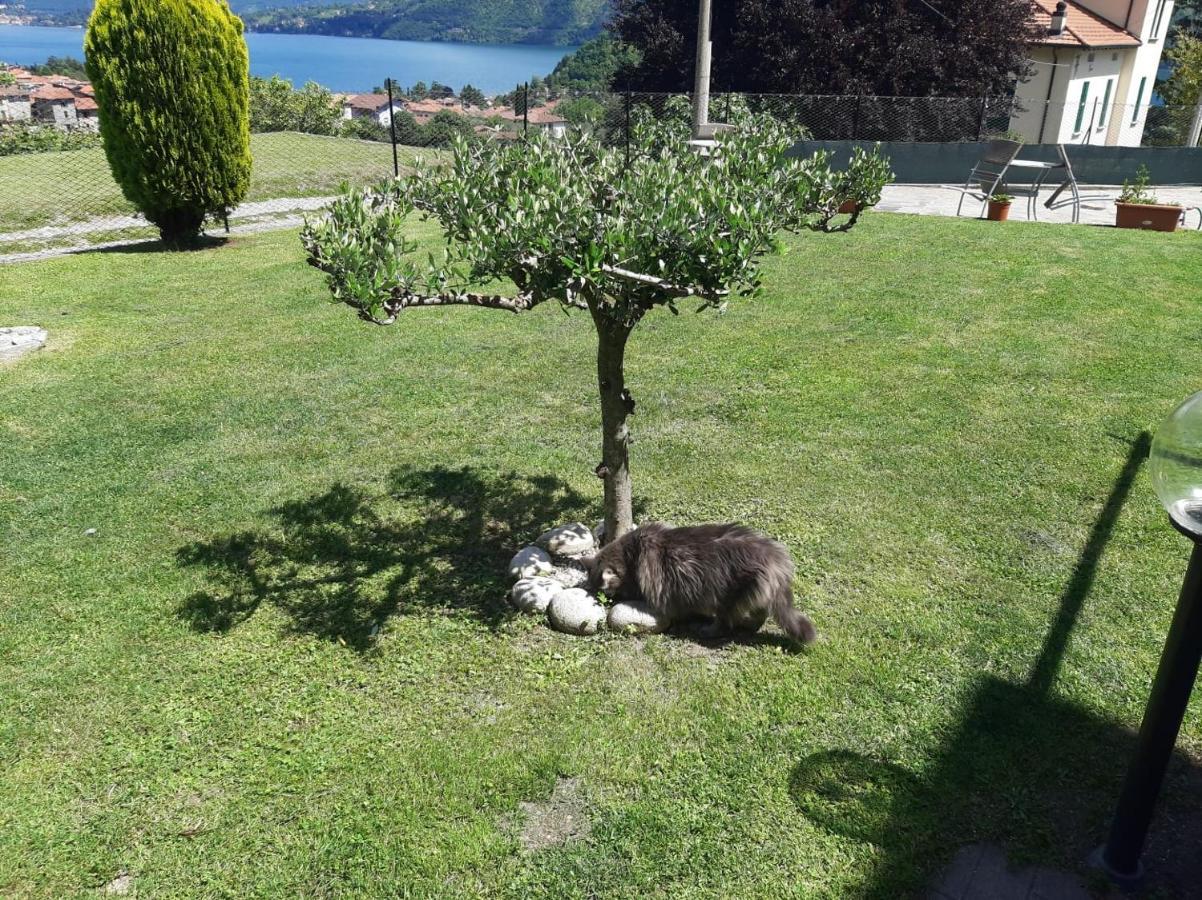 B&B Garzola Ossuccio Eksteriør bilde